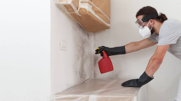 Professional Mold Testing technician working in Boxborough, MA