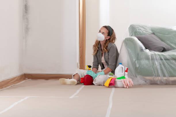 Reliable Mold Testing contractor in Boxborough, MA by WQB Mold Removal